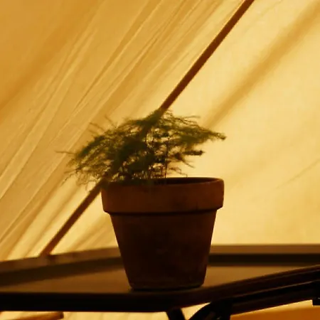 Sunrise Glamping Mon Wake Up To Birdsong ラグジュアリーテント *